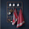 Ddddd strofinaccio frisone rosso 60x65 cm 6 pz