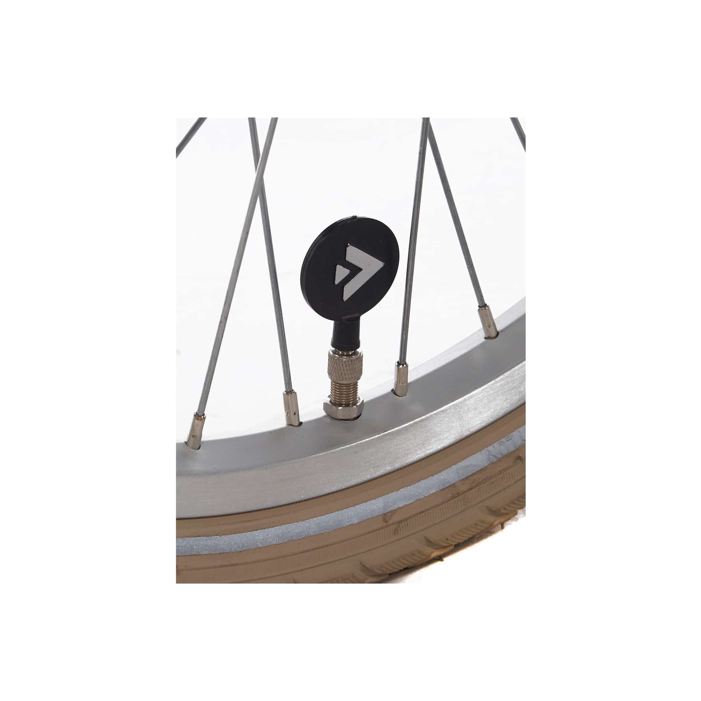 Alpina Cargo M20 Velvet Green