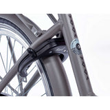 Alpina Clubb M24 Vintage Goud R3 - afbeelding 2
