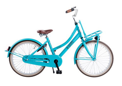 Aldo 20 inch cargo cruiser ds fiets mat turquoise