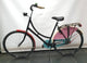 Axa 28 inch granny bike parrot 57cm + solid