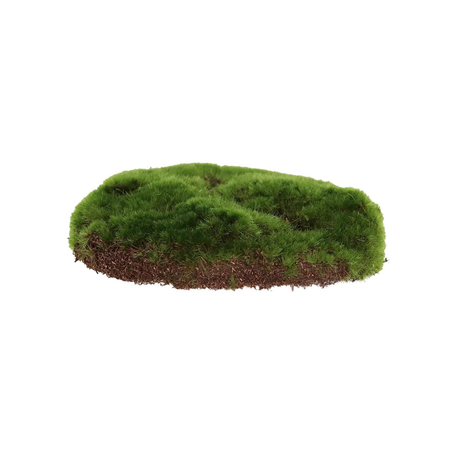 Muschio artificiale Esschert design s 15x13 cm