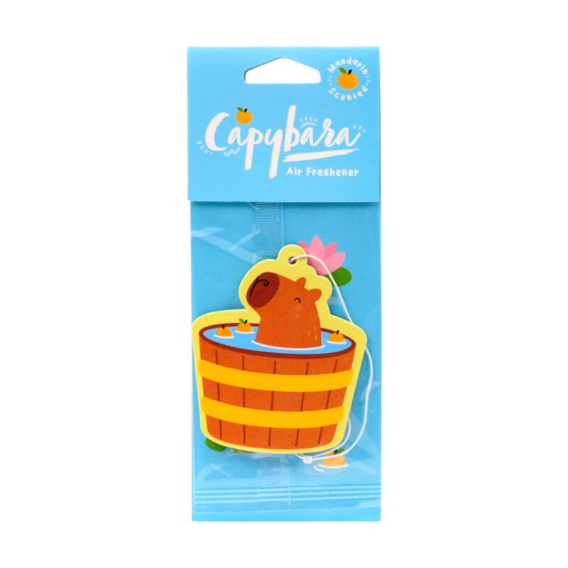 Odore mandarino Capybara Air Frisher