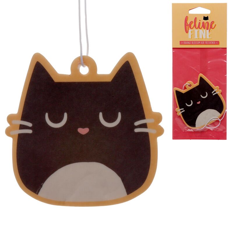 Orange Blossom - Fine Fine Cat Air Frisian