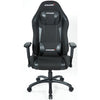 Akracing Core ex en todo el SE