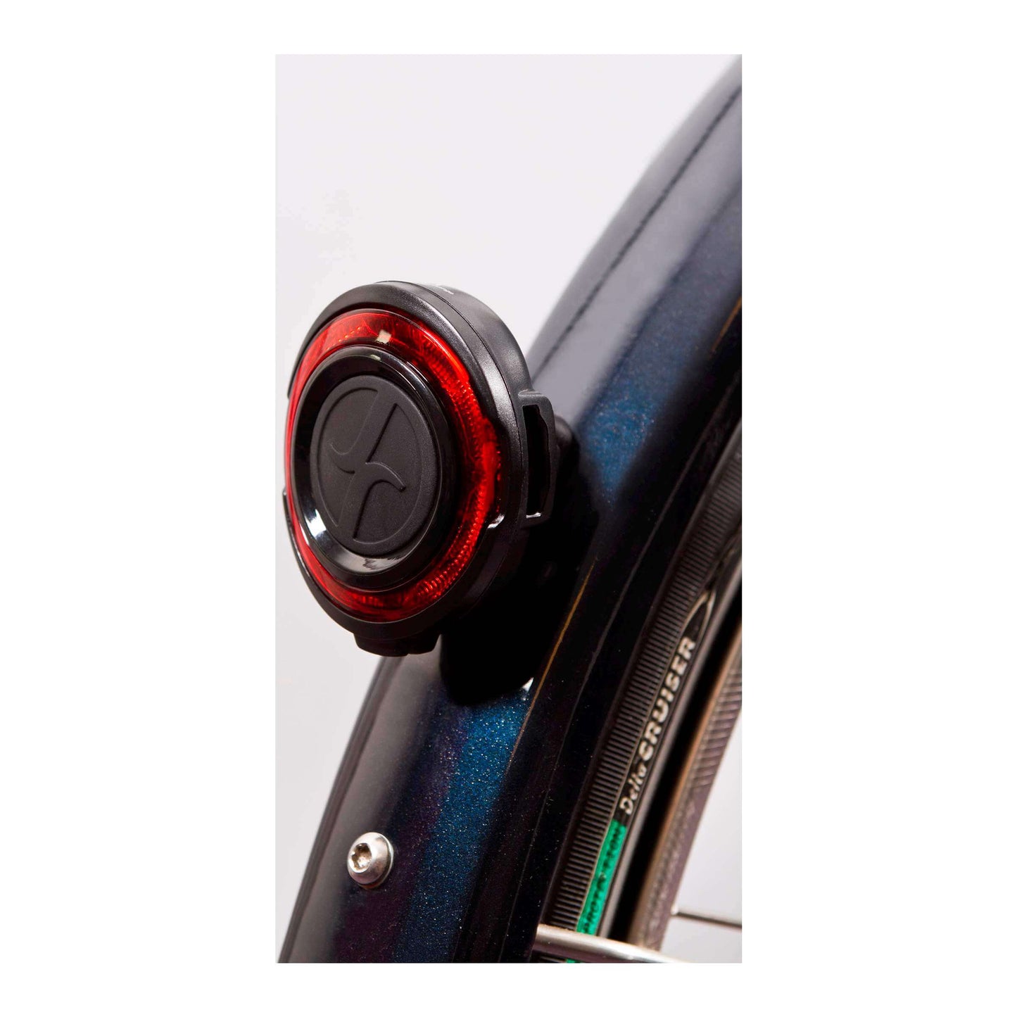 Turra Turdight Of-Guard Negro