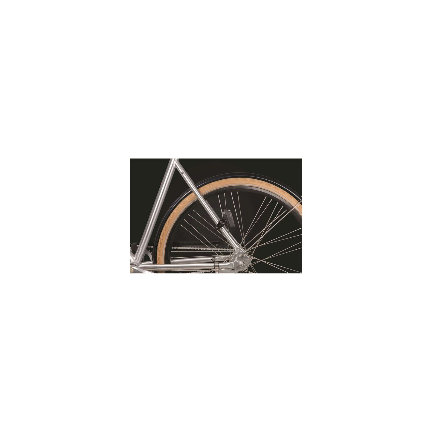 Staffa nyx nyx posteriore luce nera