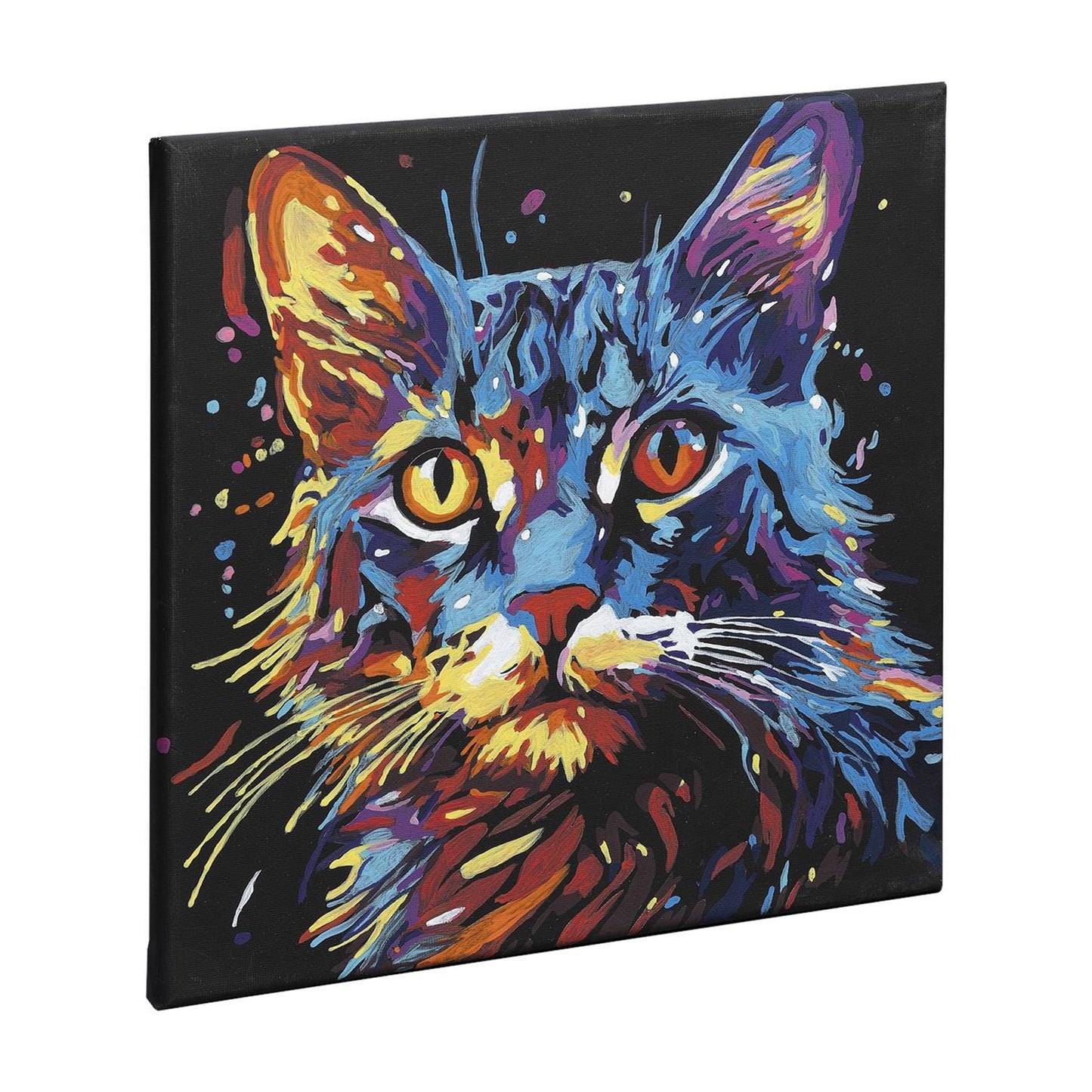 Pintura de grupo de artesanía creativa por número Black Canvas Kat, 30x30cm