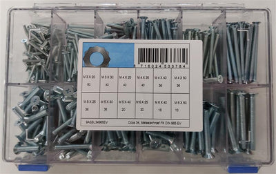 Assortimento di viti in metallo d965 elvz