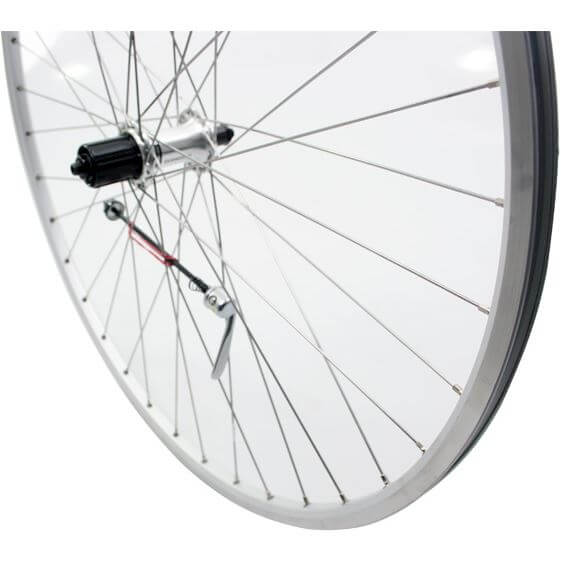 Roland Rueda trasera 28 x 1 CALAJES CASS 9V Racing Spk de acero inoxidable plateado