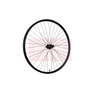 Roland Rueda trasera 28 Taurus21 FHQC300 Spokes negros