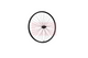 Roland Rueda trasera 28 Taurus21 FHQC300 Spokes negros