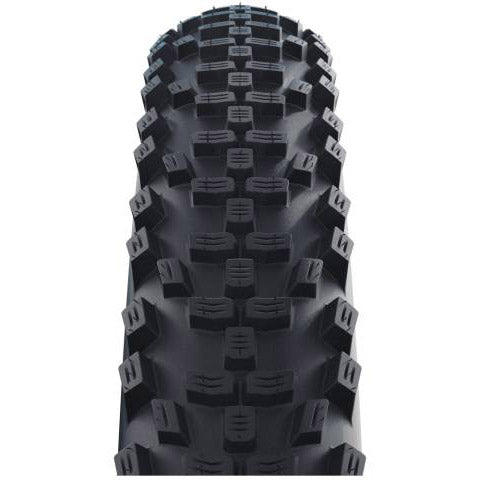 Schwalbe Tire 20-2.35 (60-406) SAM Performance Black
