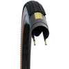Schwalbe Tire G-One R EVO 28 x 1.70 ZW Trans Fold TLR