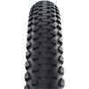 Schwalbe