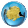 Pesce tropicale 3D Ballo che rimbalza piccolo