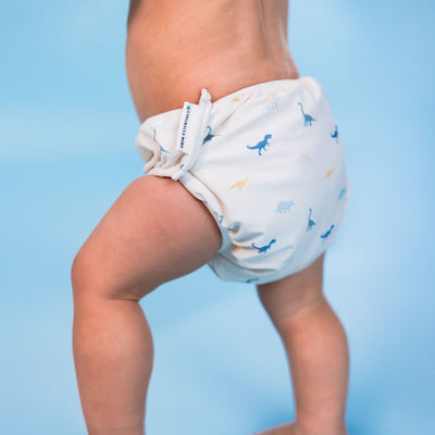 Dino | Pañal de natación lavable con multicolor