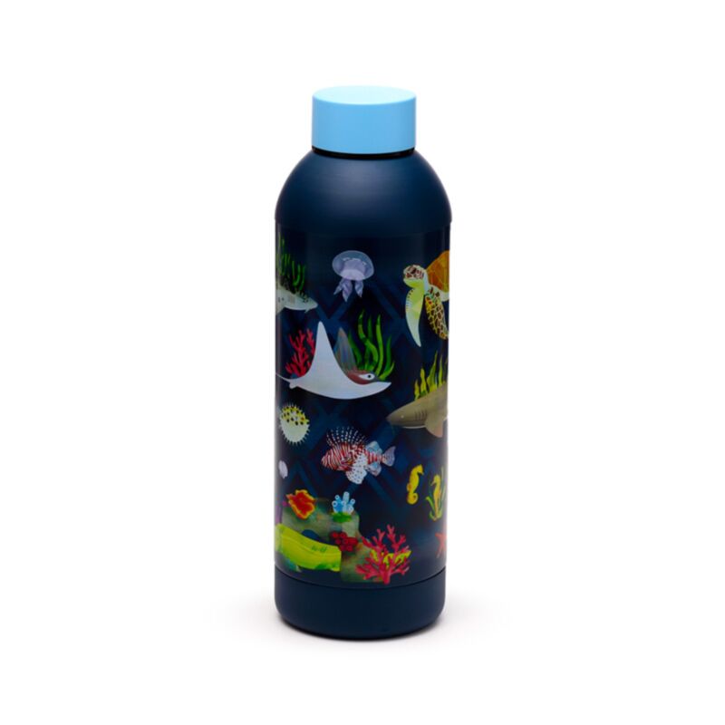 Reino marino Termosfless 530ml