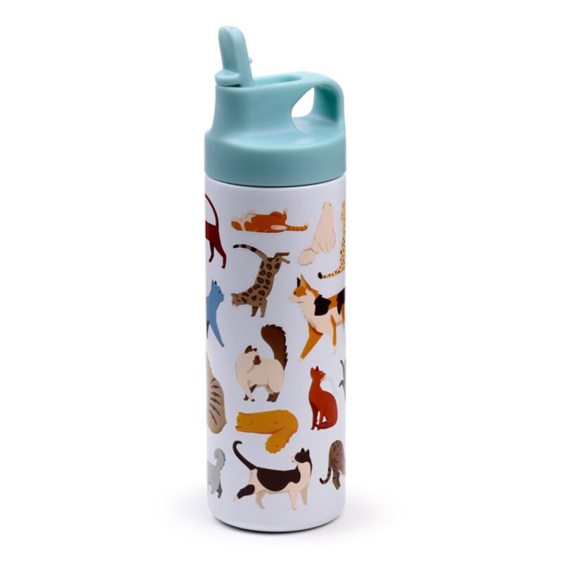 Gatti fine fine gatti topp senza thermosf 500 ml