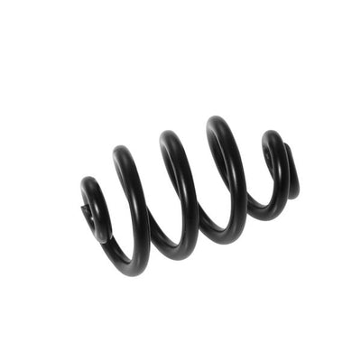 Brooks saddle spring on the left black