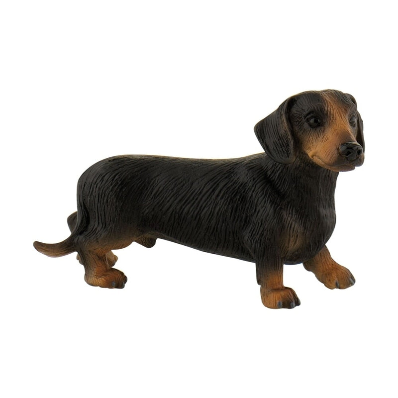 Bullyland bassotto a pelo corto Apollo (65441)