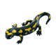 Salamandra pezzata Bullyland (68493)