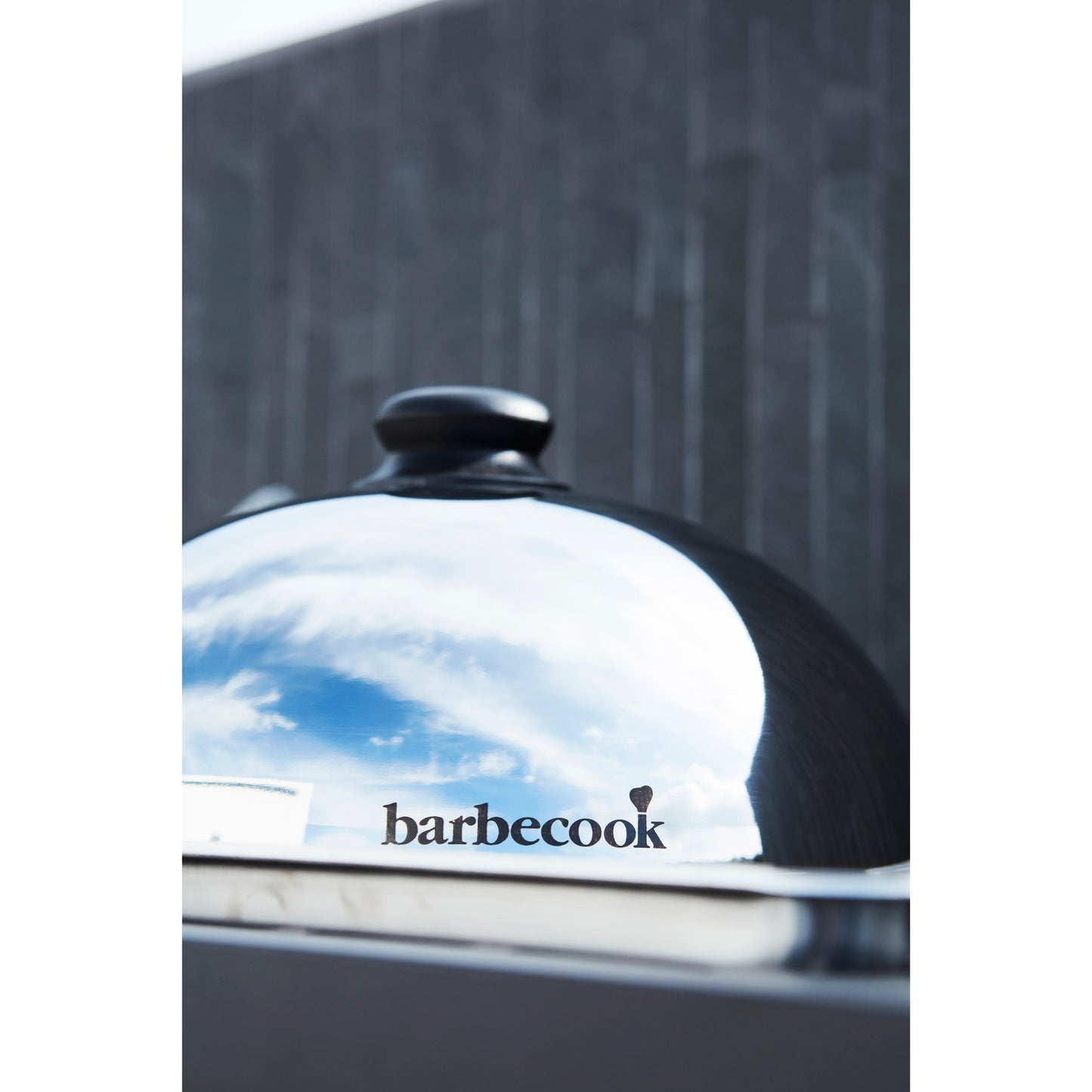 Barbecook Olivia Plancha Dome da acciaio inossidabile Ø 30 cm