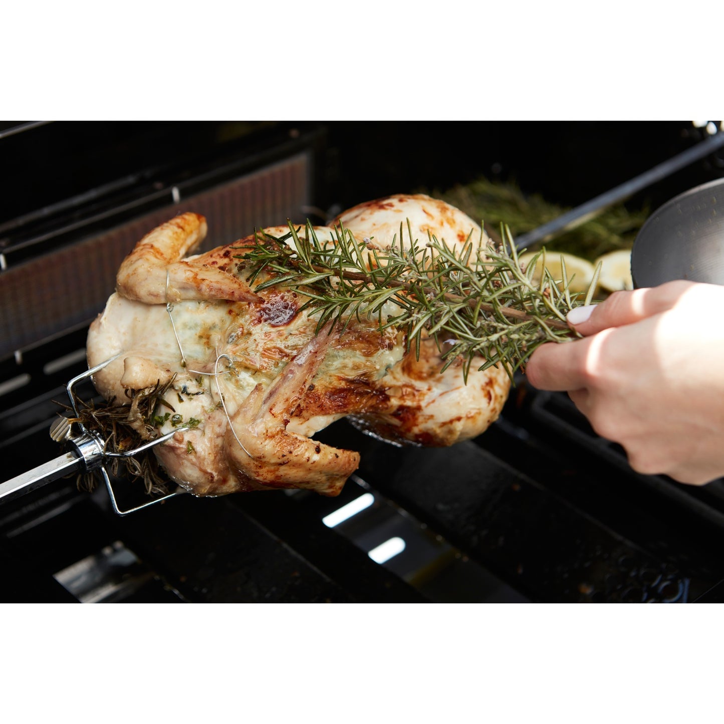 Barbecook Universal Turning Spit con motore per Magnus e Sies