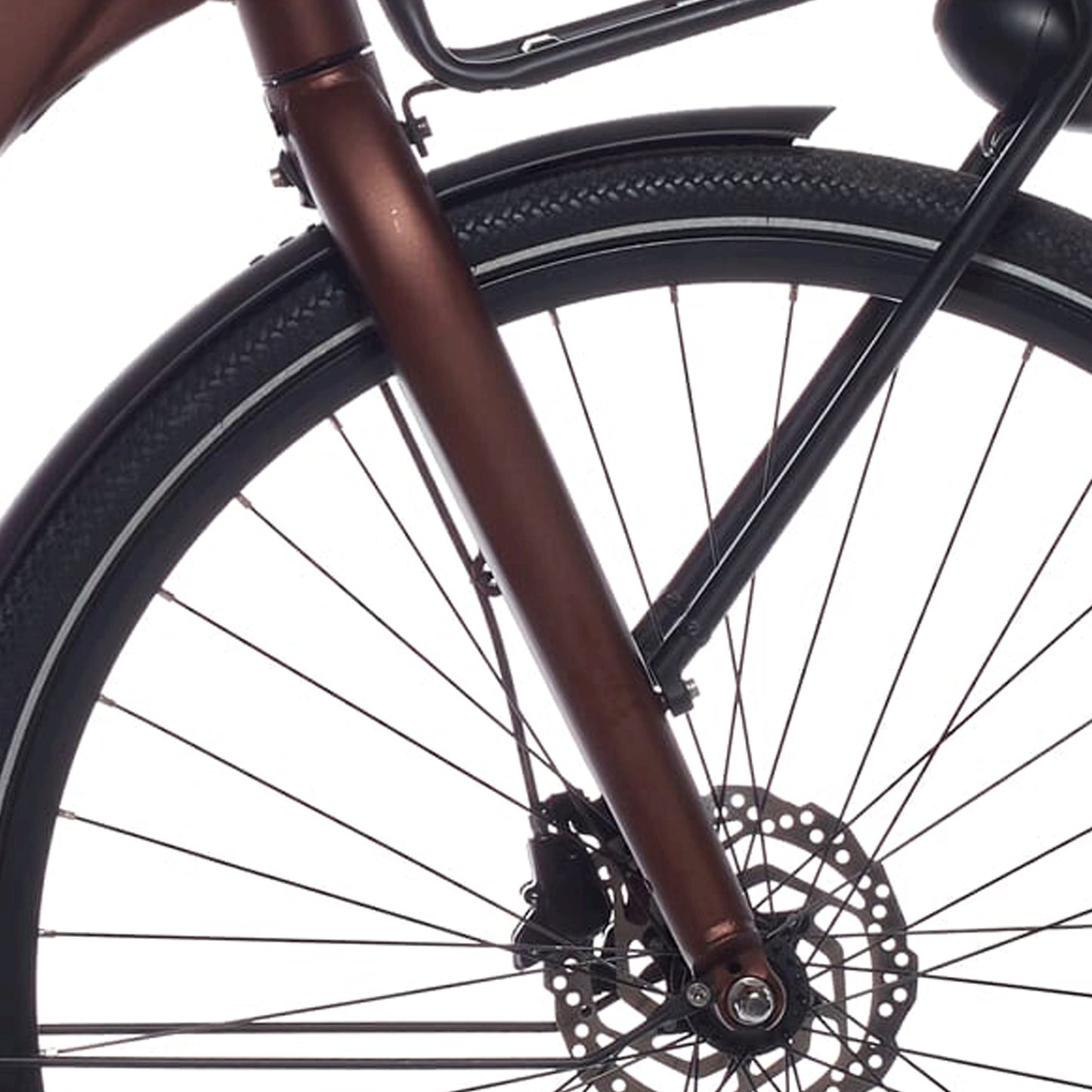 Cortina Fork Common Family DB Matt