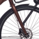 Cortina Fork Common Family DB Matt