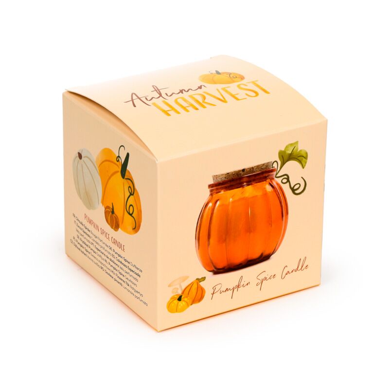 Portacandele in cera di soia con spezie di zucca del raccolto autunnale