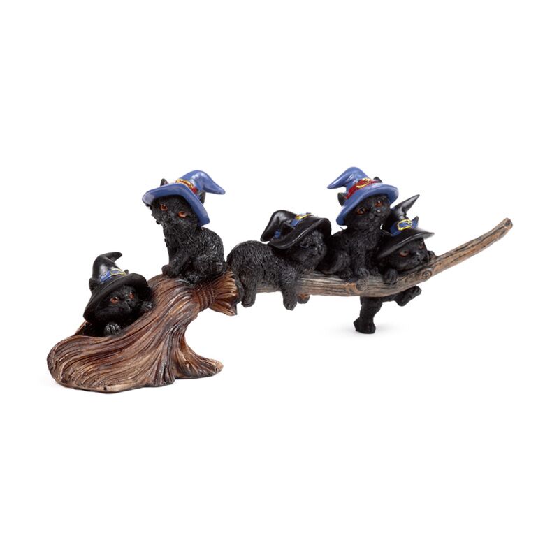 Witches Black Cat suona su Broomstick Broamtick