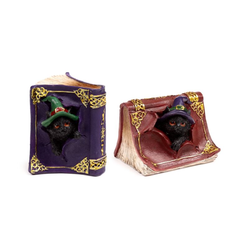 Brujas gato negro Mischieuwous Spell Book