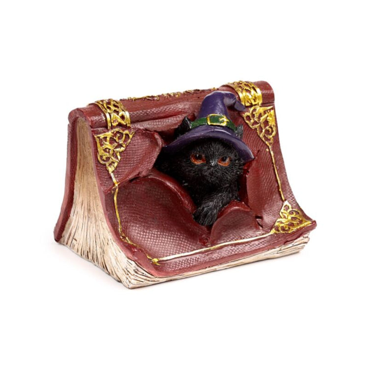 Witches Black Cat Mischieuwous Spell Book