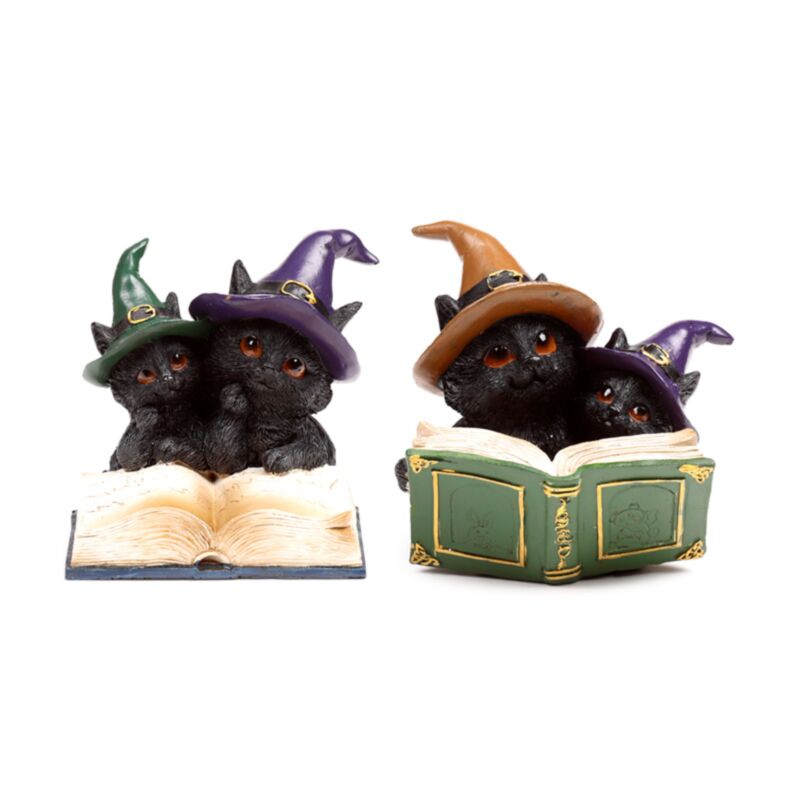 Brujas de gato negro gato mágico libro de hechizos