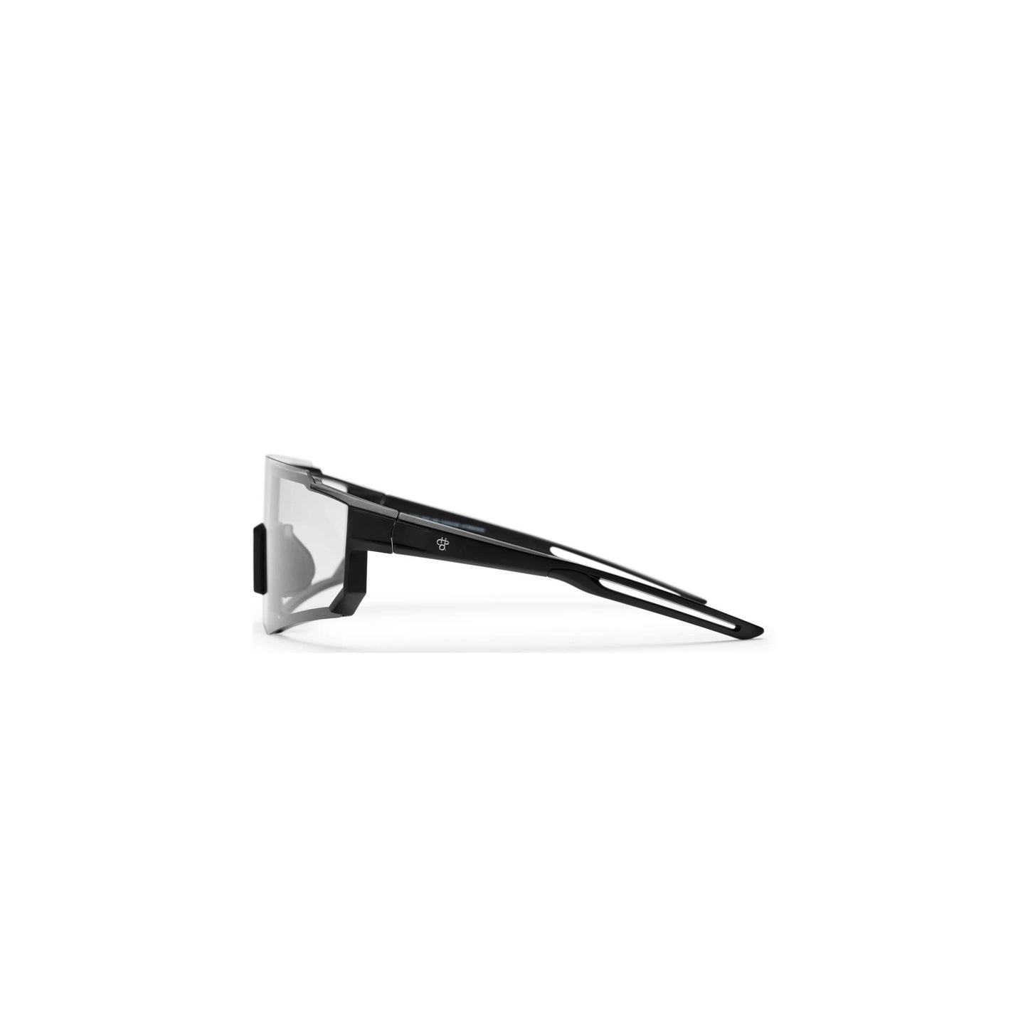 Gafas de chpo Siri Black Photocromic