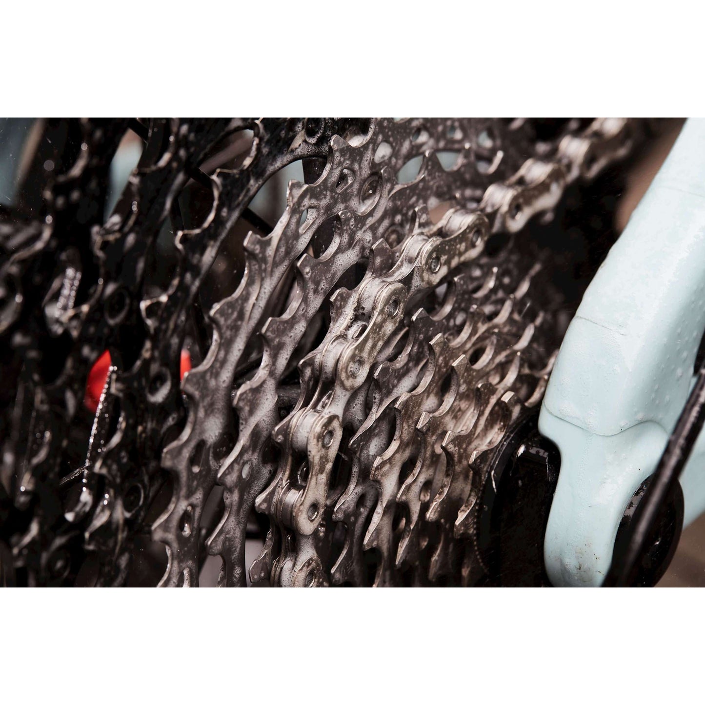 Cyclon Bionet Cleader Collar Desgramación navulflacon 1L 20061