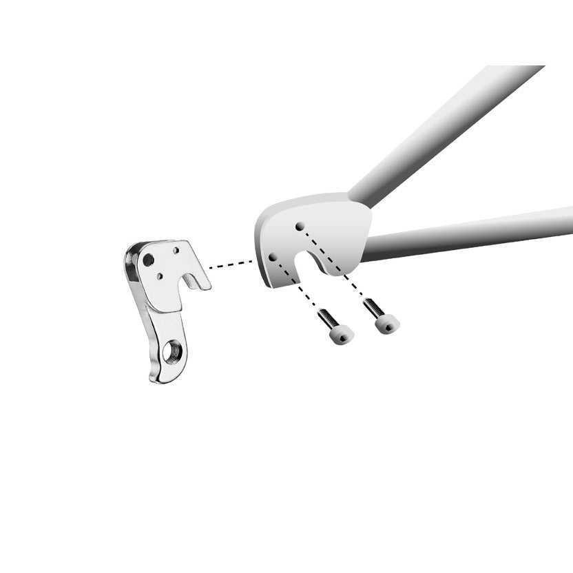 Union derailleurpad GH-149 met schroefset M3x1.0