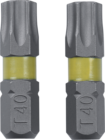 Puntas Connex torx g40 (2uds) - coxt973074