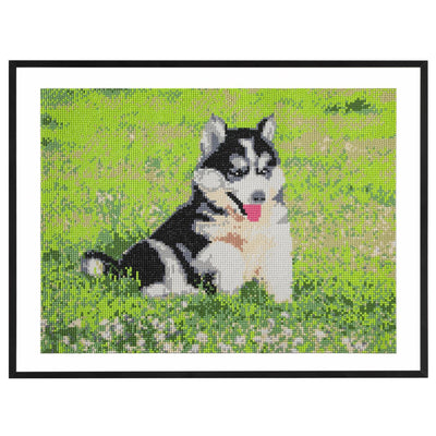 Craft id cuadro con diamantes, 40x50cm, perro