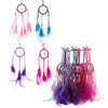 Mini Feathers Dream Catchers
