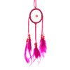 Mini Feathers Dream Catchers