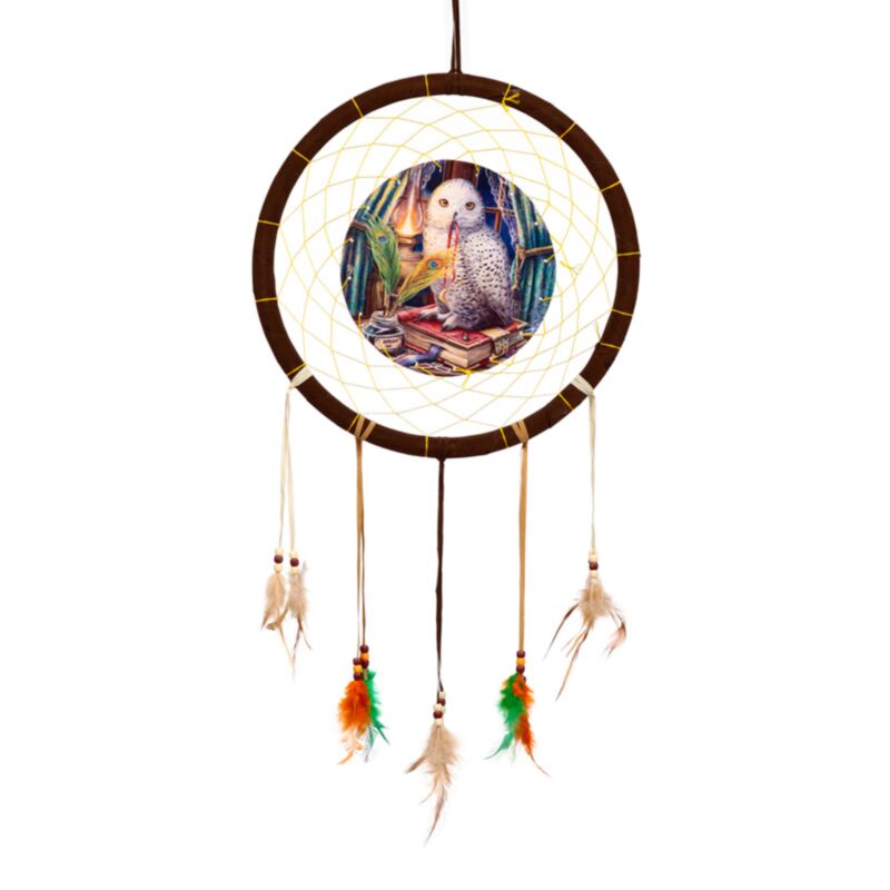 Lisa Parker Wachter de Proverbs Owl Dreamcatcher 33cm