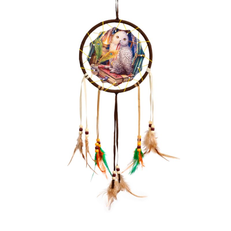 Lisa Parker Wachter di Proverbs Owl Dreamcatcher 16cm