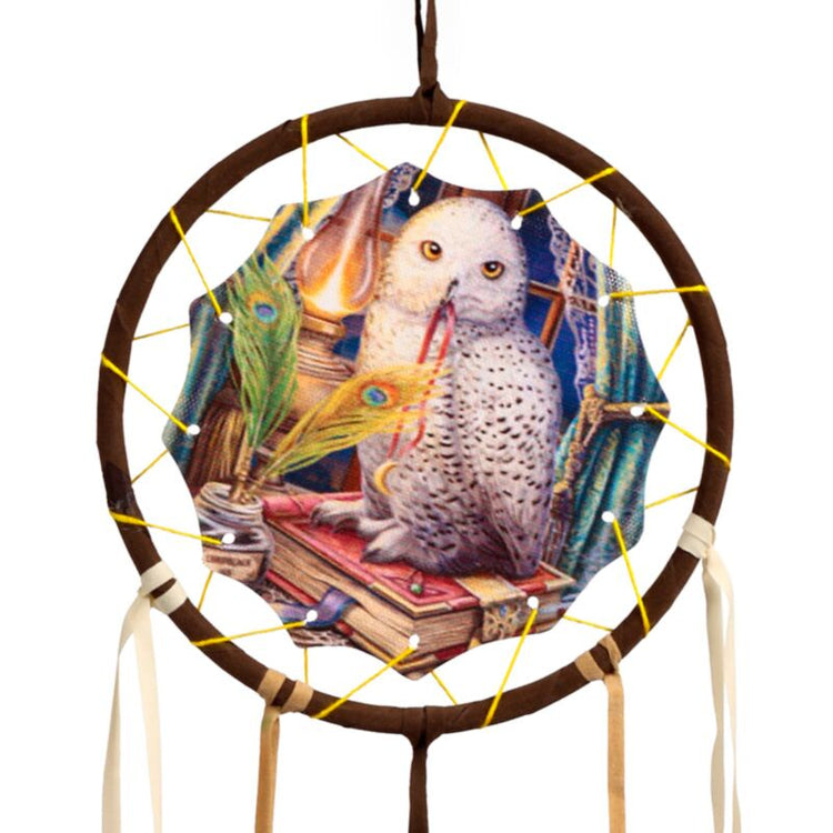 Lisa Parker Wachter di Proverbs Owl Dreamcatcher 16cm