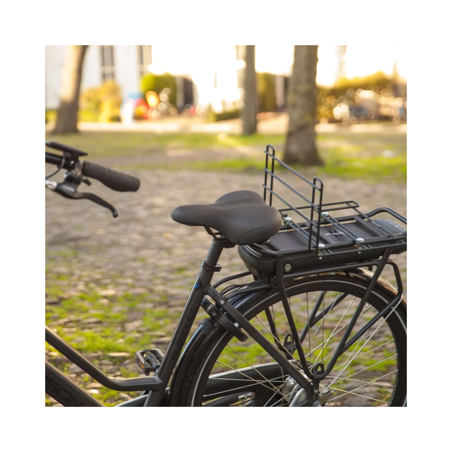 cassa di portaguini neri con ragno nero