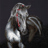 Midnight stallion diamond dotz: 53x42 cm (dd10.012)