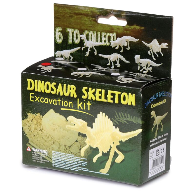 Piccolo set di scavi scheletri di dinosauro