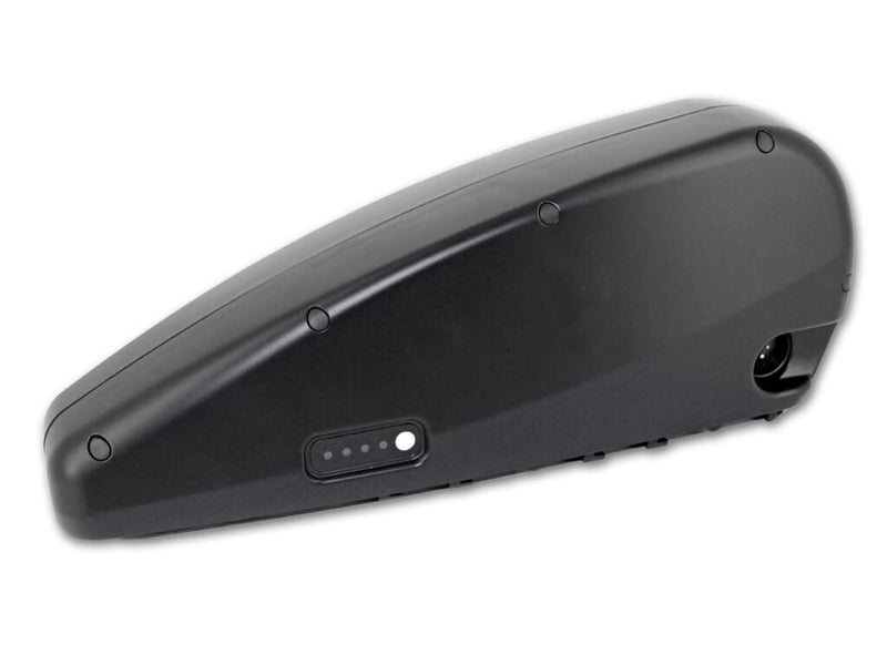 Batteria per biciclette BMZ 36V 15,5 AH
