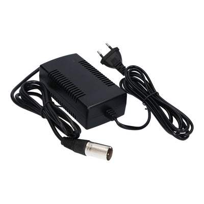 Caricatore della batteria di sostituzione E-Bike 29.4V 2A XLR 3-pin